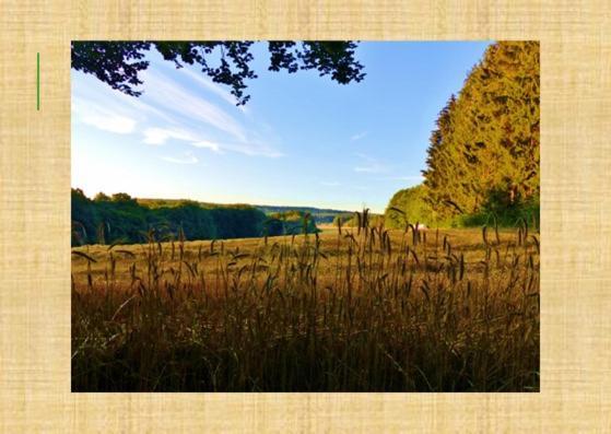 Gruenvogels Landgasthof Zum Gruenen Baum Oberzent ภายนอก รูปภาพ