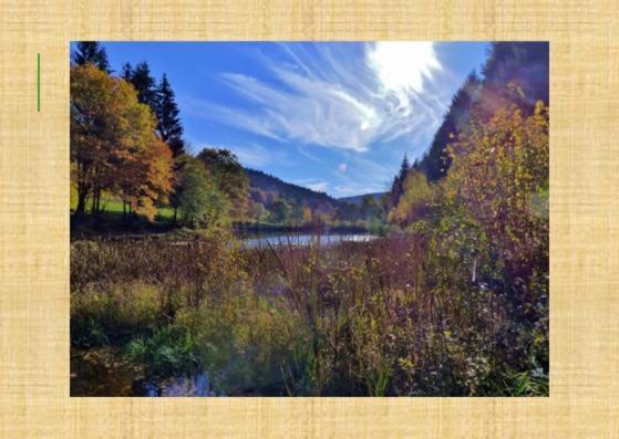 Gruenvogels Landgasthof Zum Gruenen Baum Oberzent ภายนอก รูปภาพ