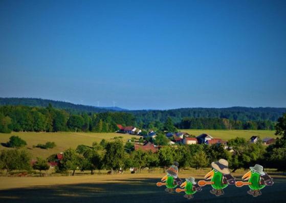 Gruenvogels Landgasthof Zum Gruenen Baum Oberzent ภายนอก รูปภาพ