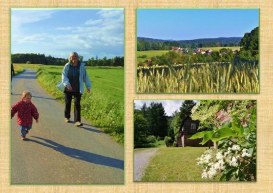Gruenvogels Landgasthof Zum Gruenen Baum Oberzent ภายนอก รูปภาพ